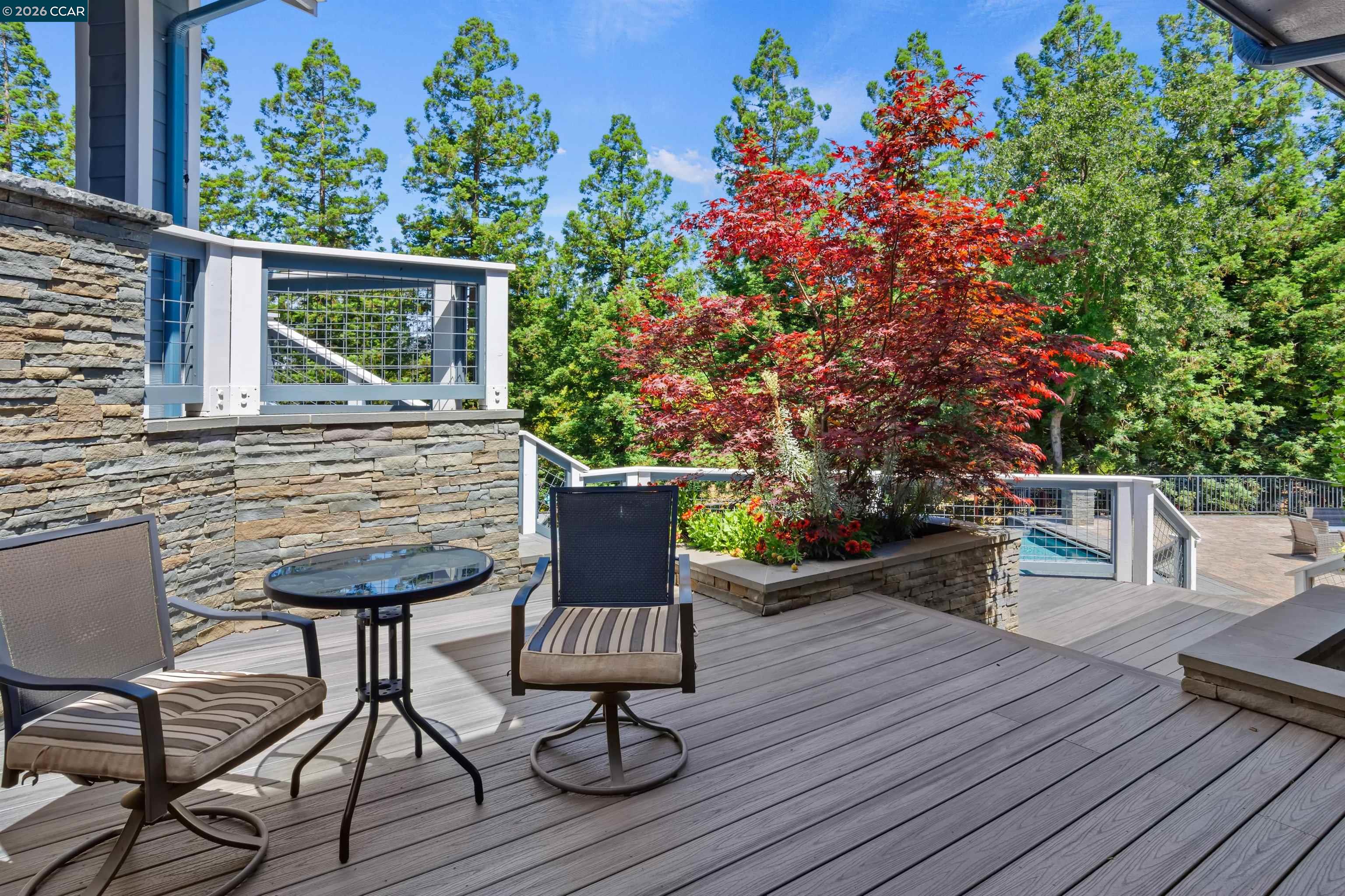 2324 Saddleback Dr
