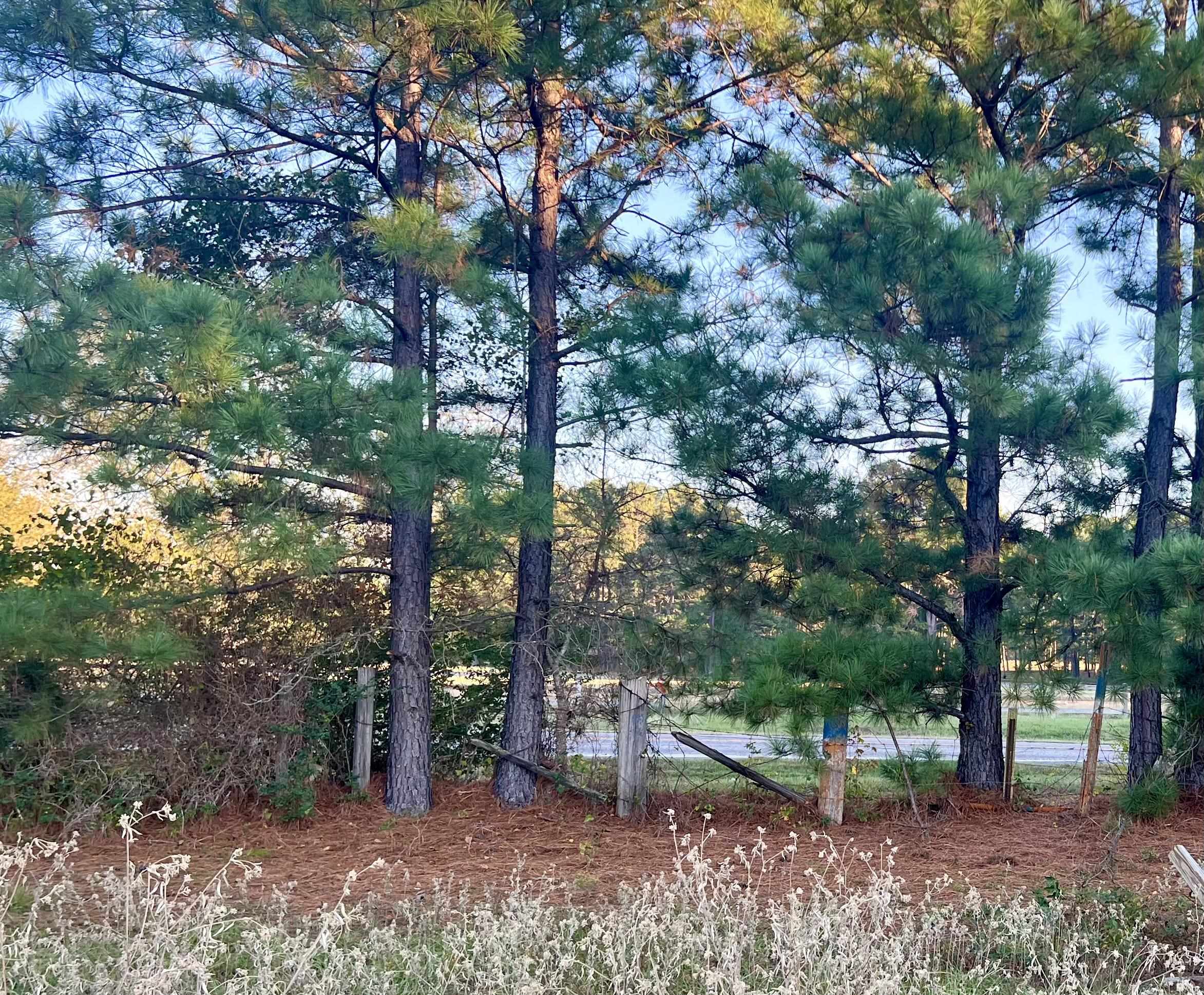 5.417 acres FM 2276