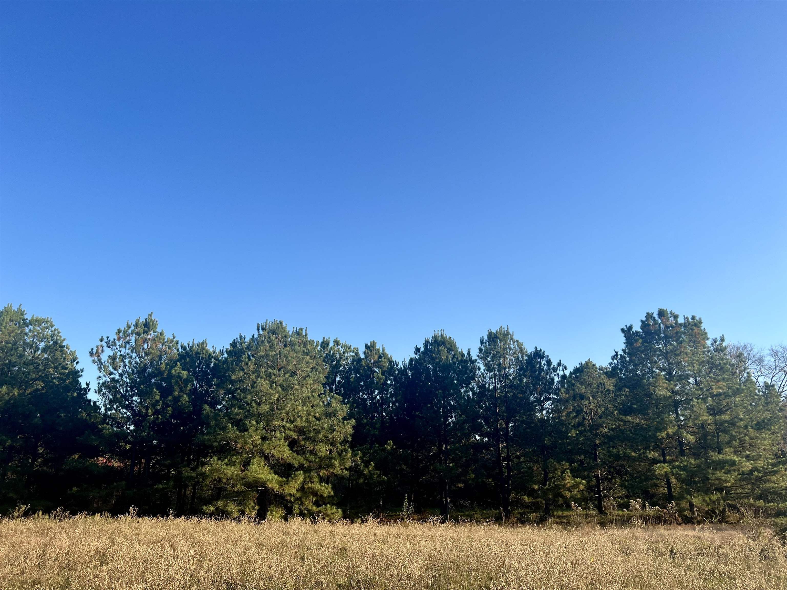 5.417 acres FM 2276