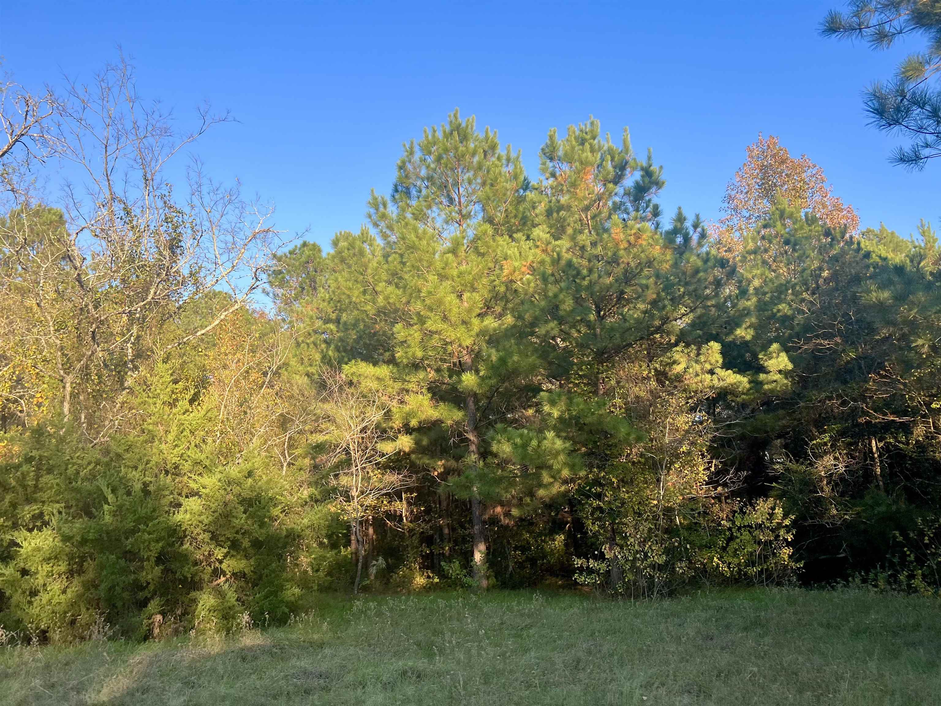 10 acres FM 2276