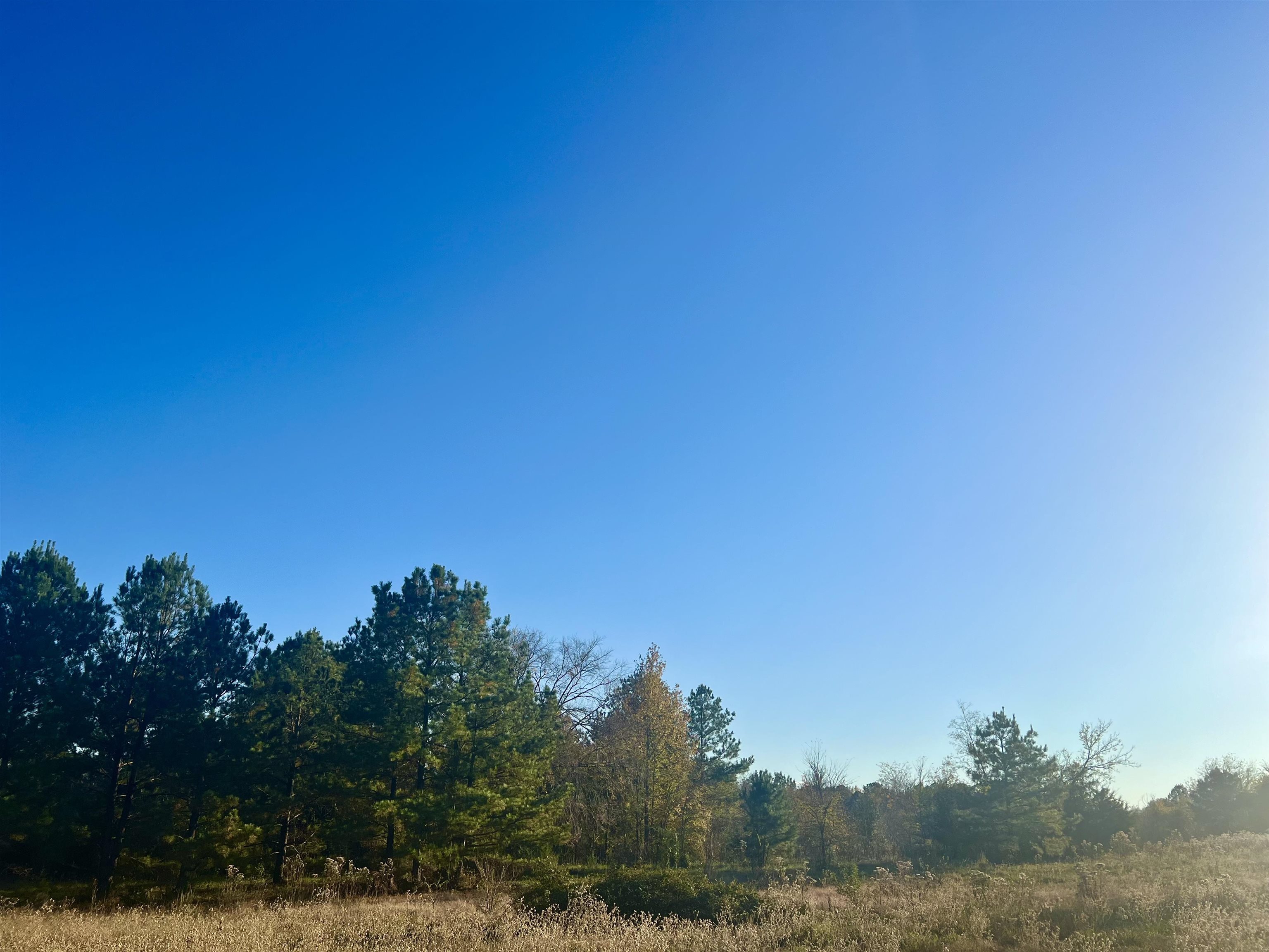 10 acres FM 2276