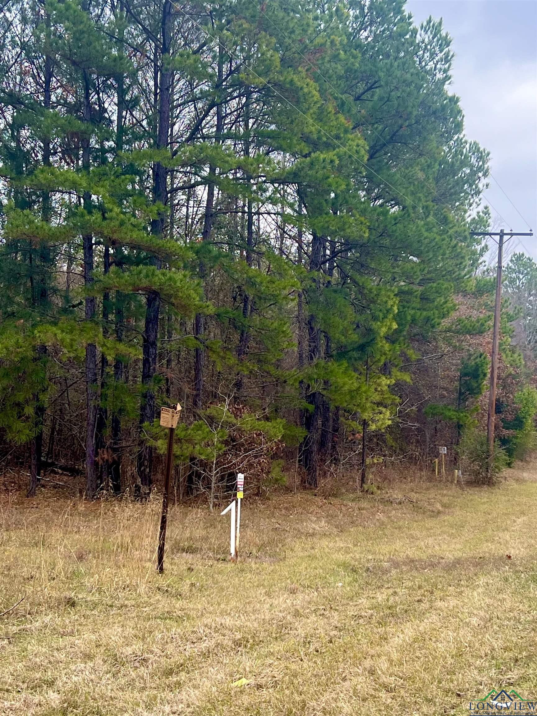 Tb determined Pine Tree Rd