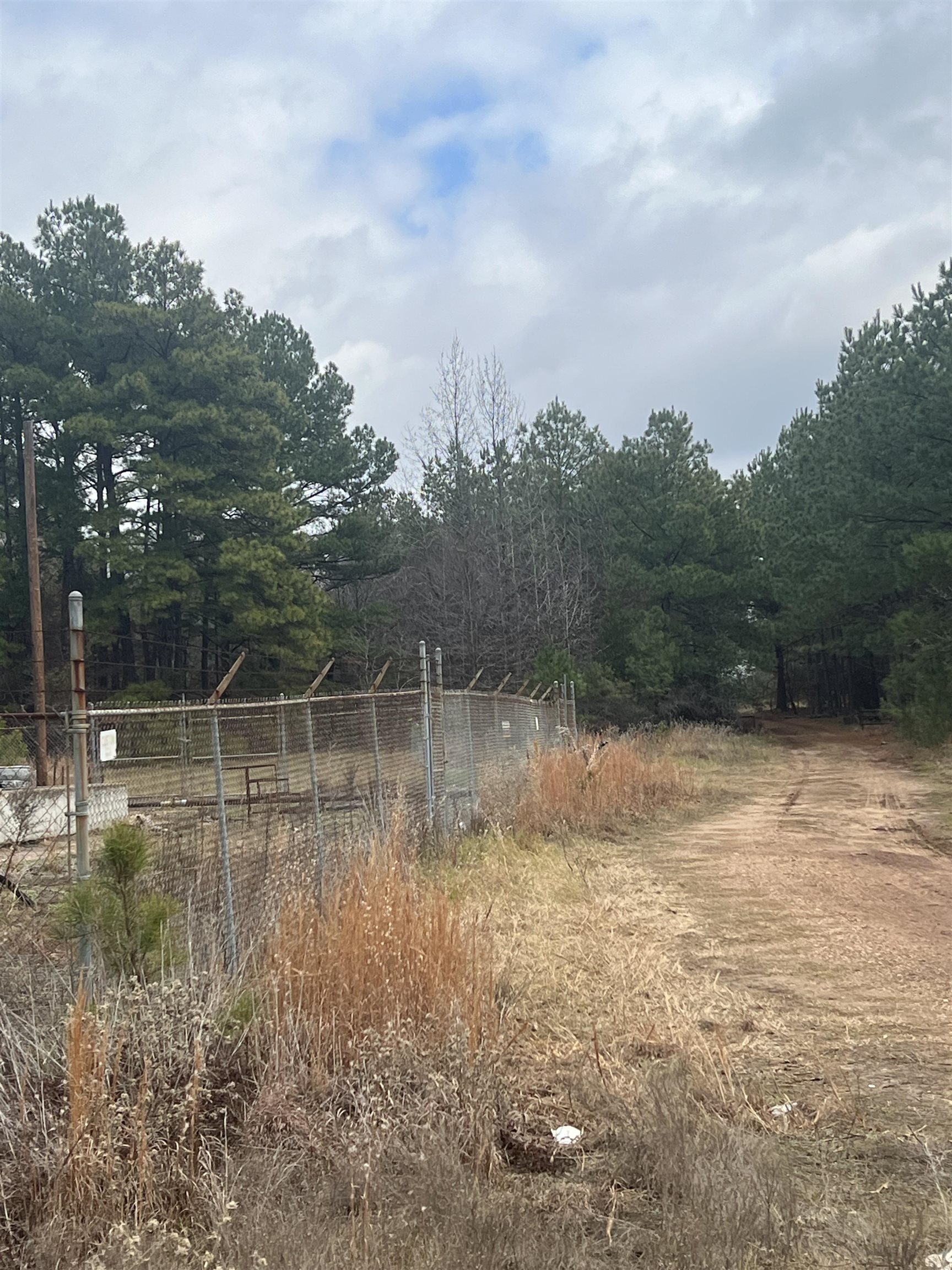 Tb determined Pine Tree Rd