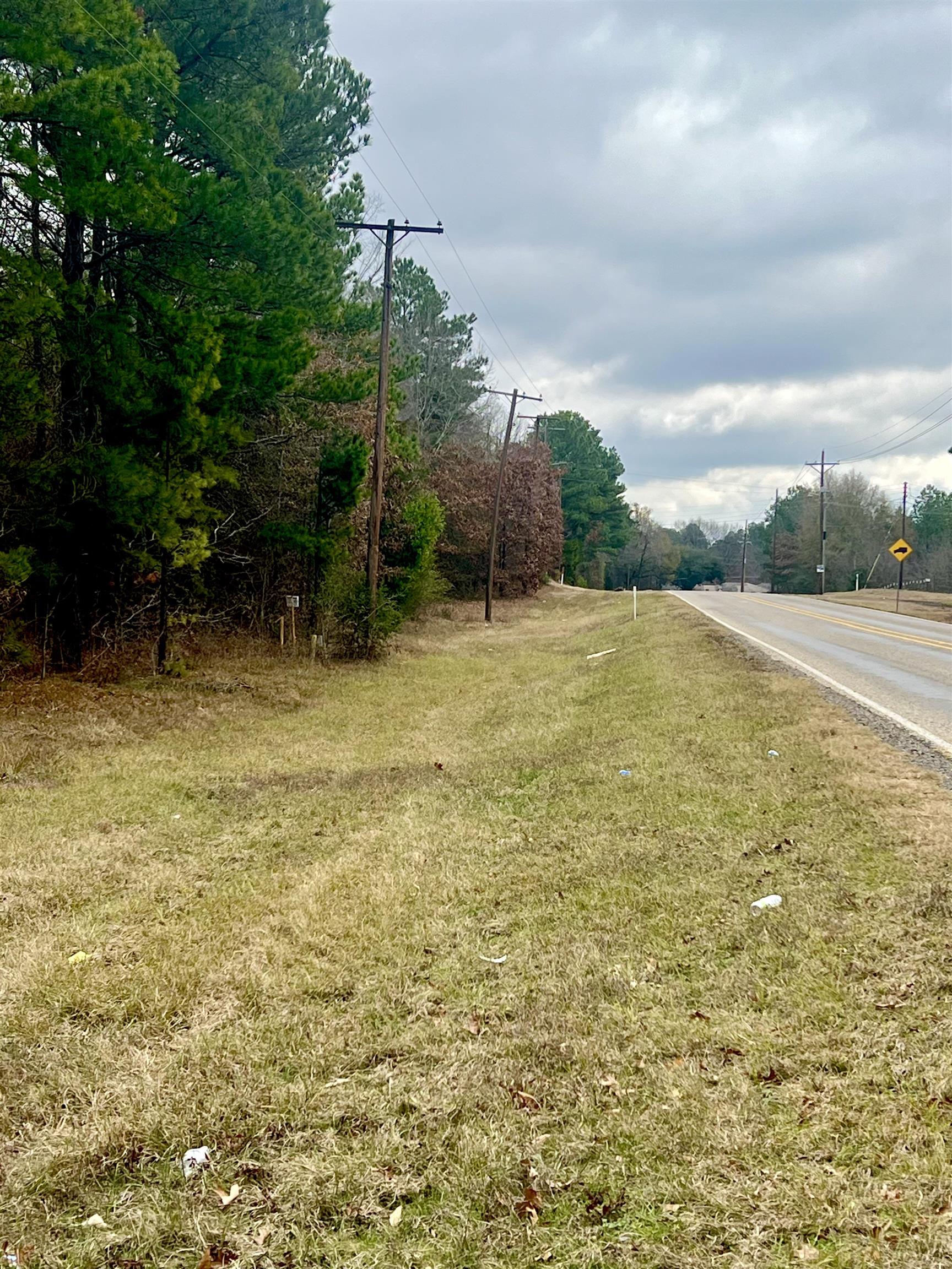 Tb determined Pine Tree Rd