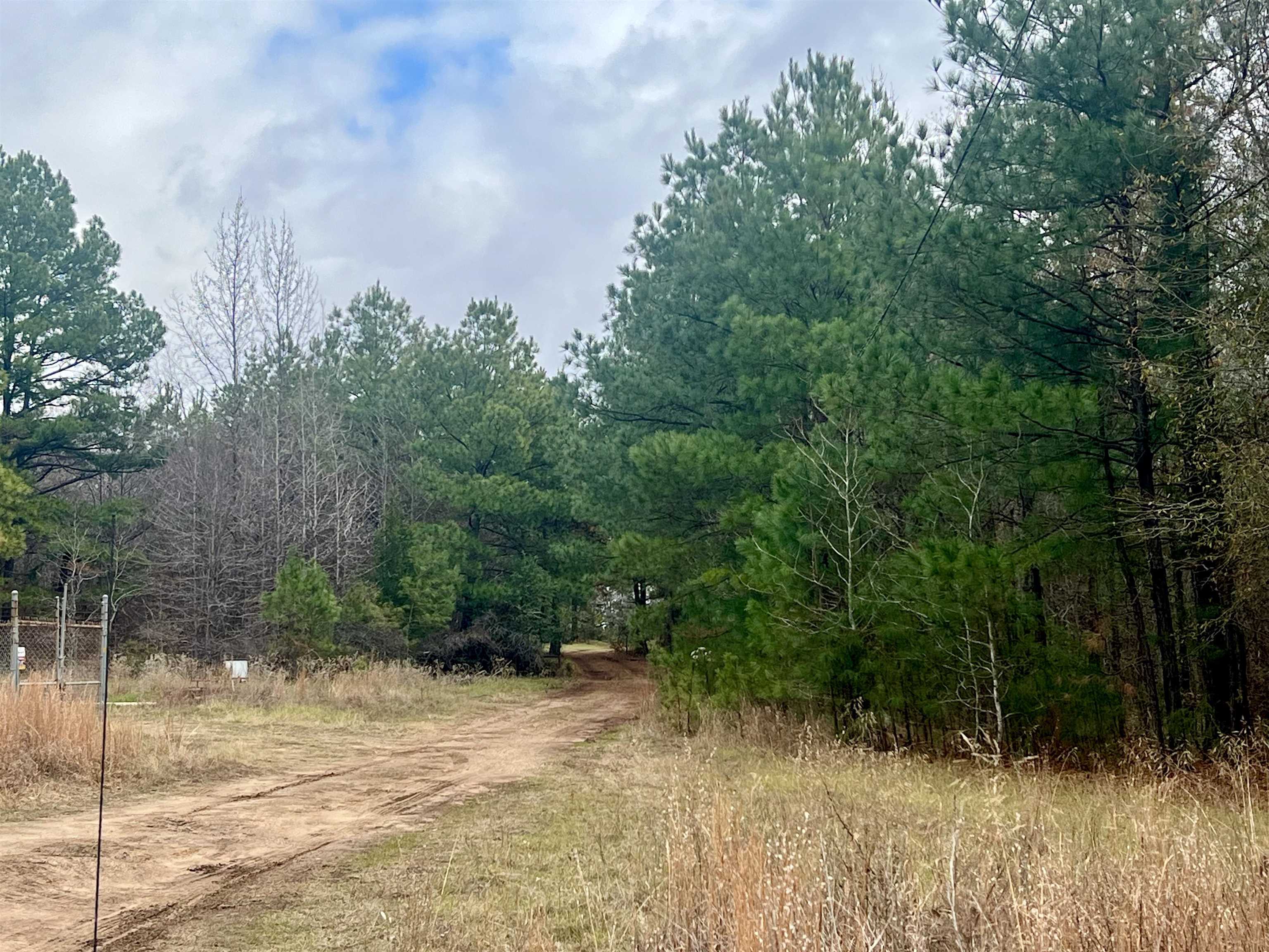 Tb determined Pine Tree Rd