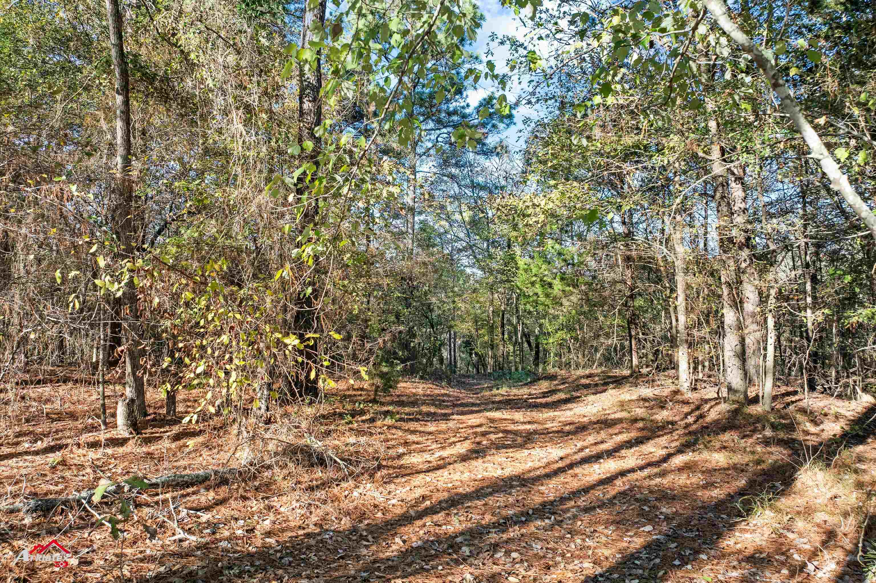 677 Private Road 3455