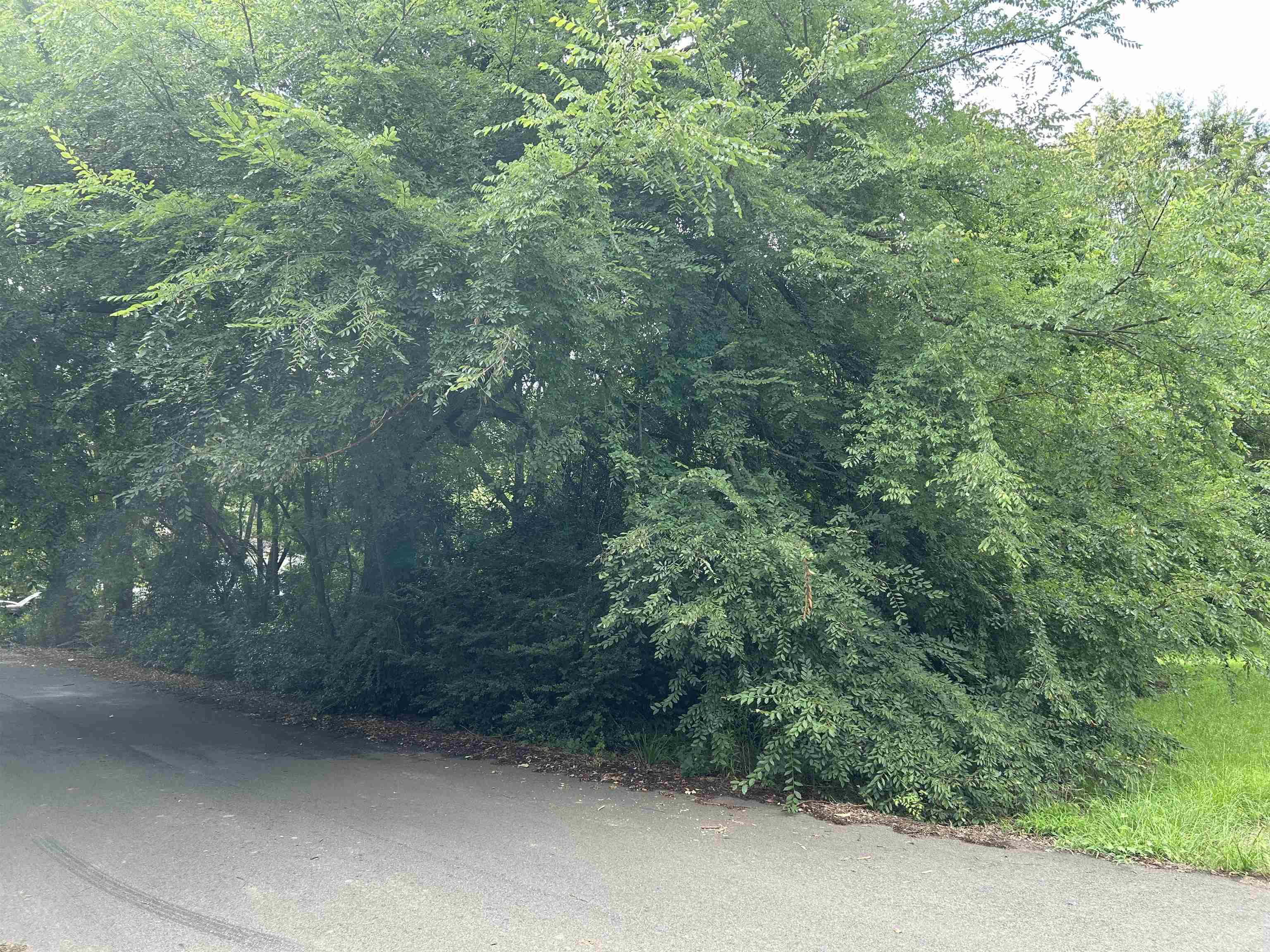 2106 Carthage ST
