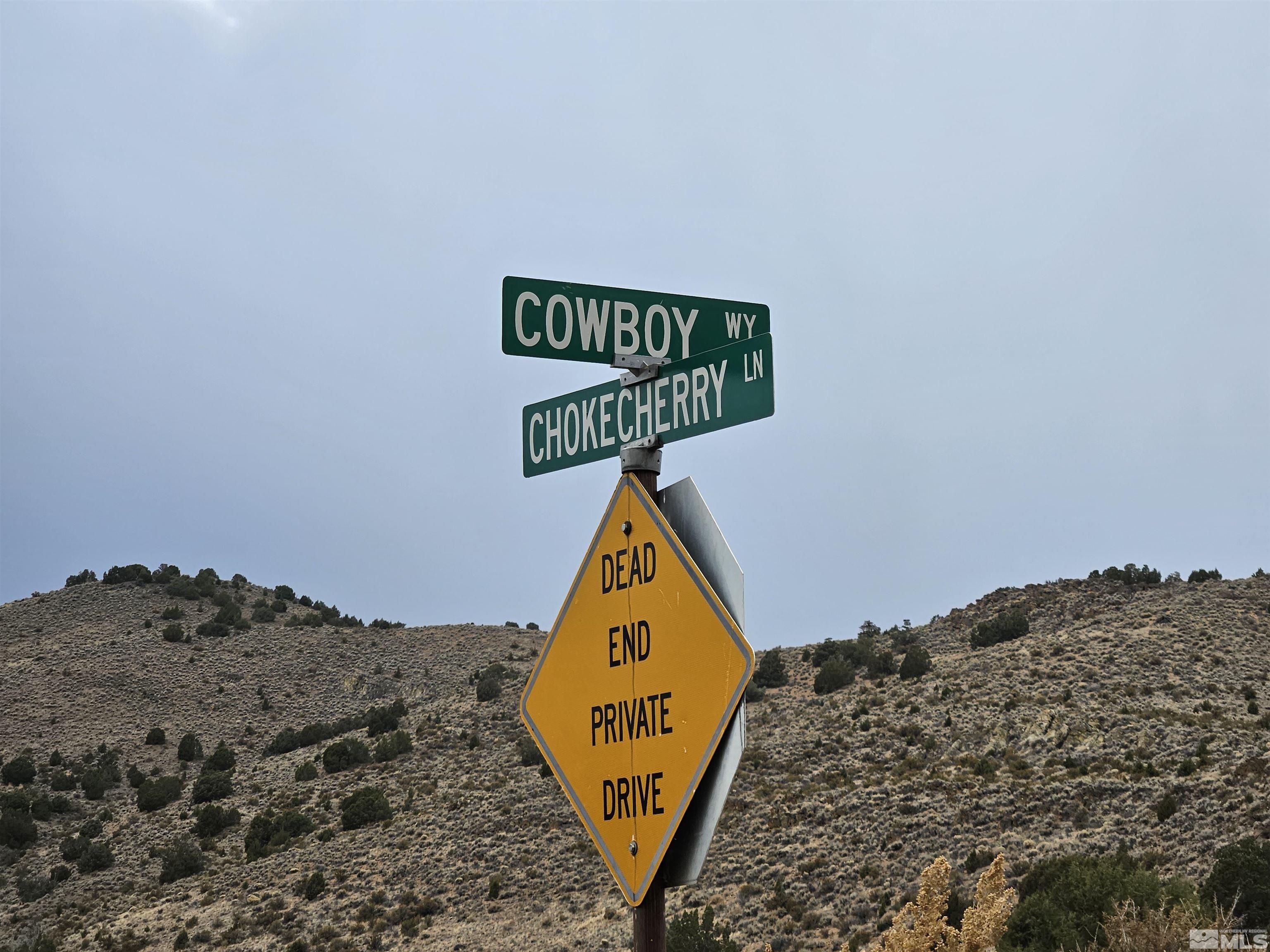 Chokecherry Lane