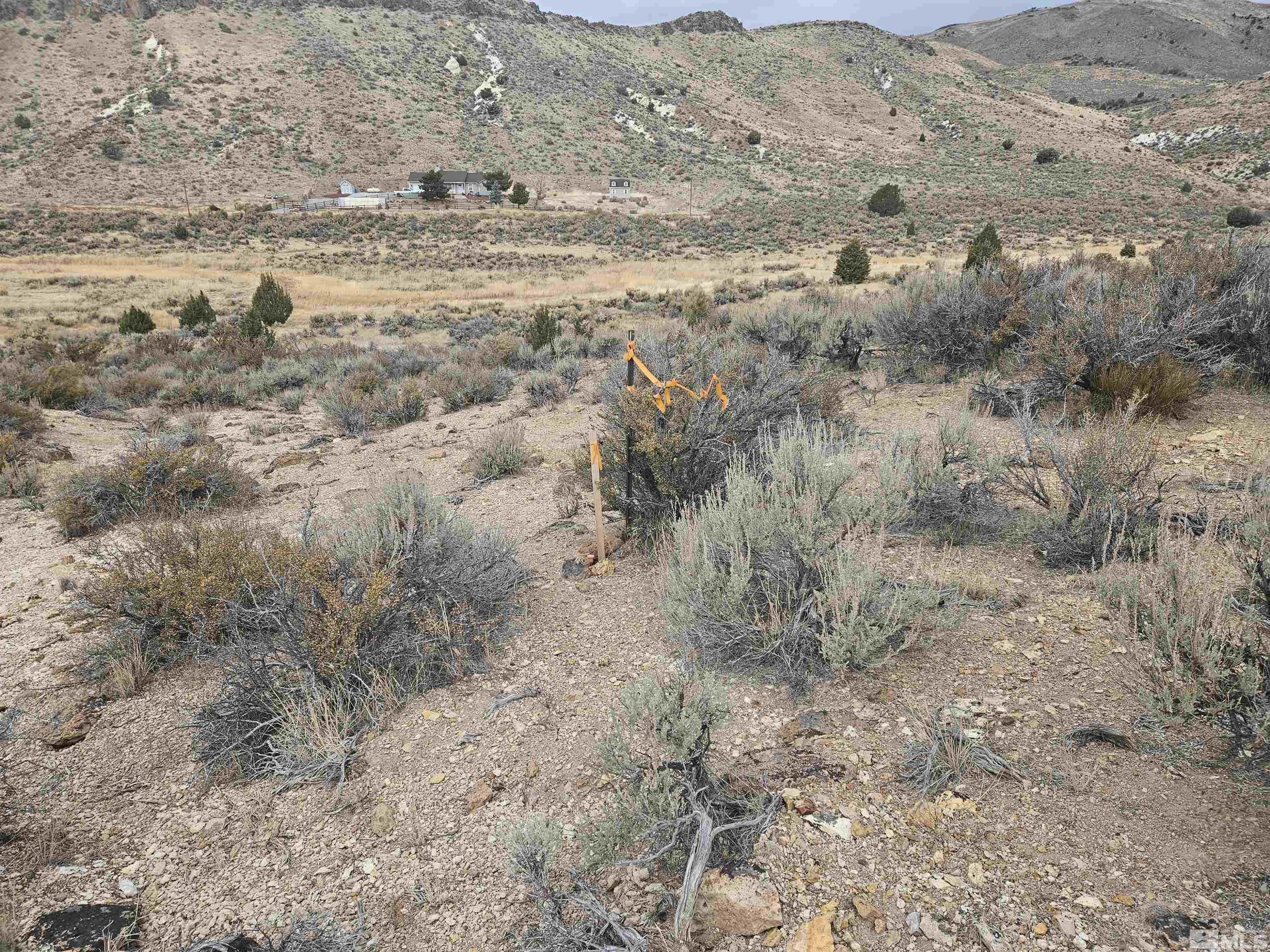 Chokecherry Lane