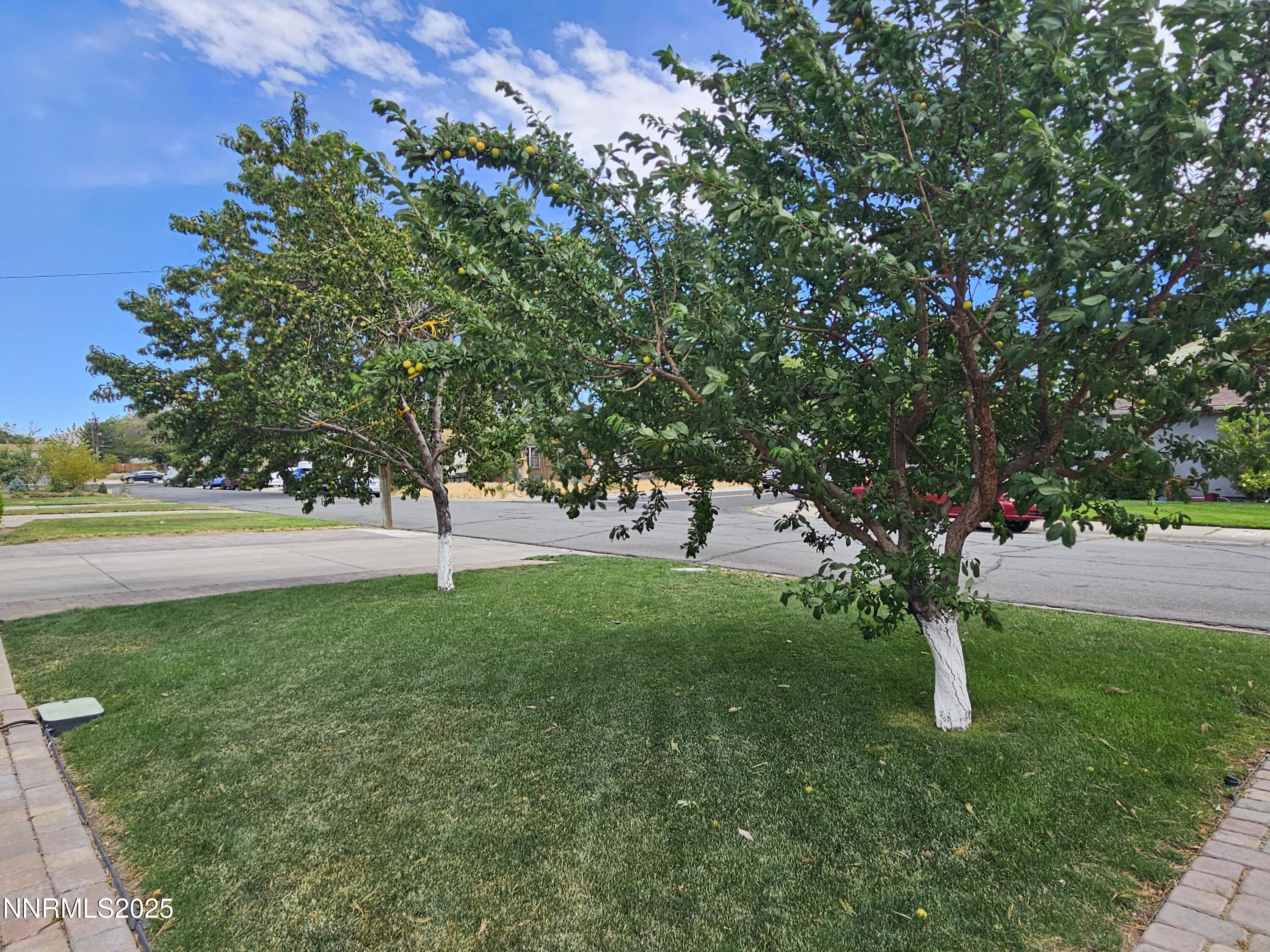 1195 Curti Drive