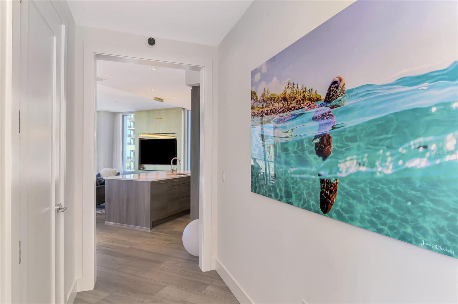 111 S PINEAPPLE AVE #915
