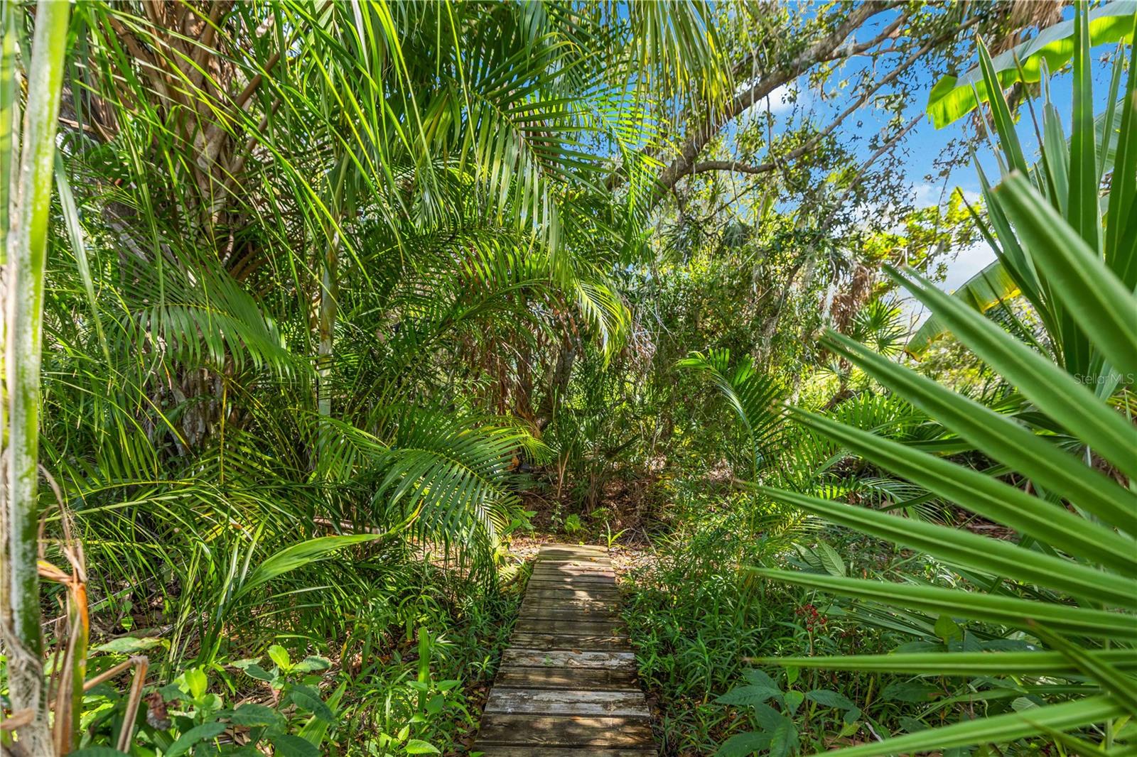 9915 OLD HYDE PARK PL