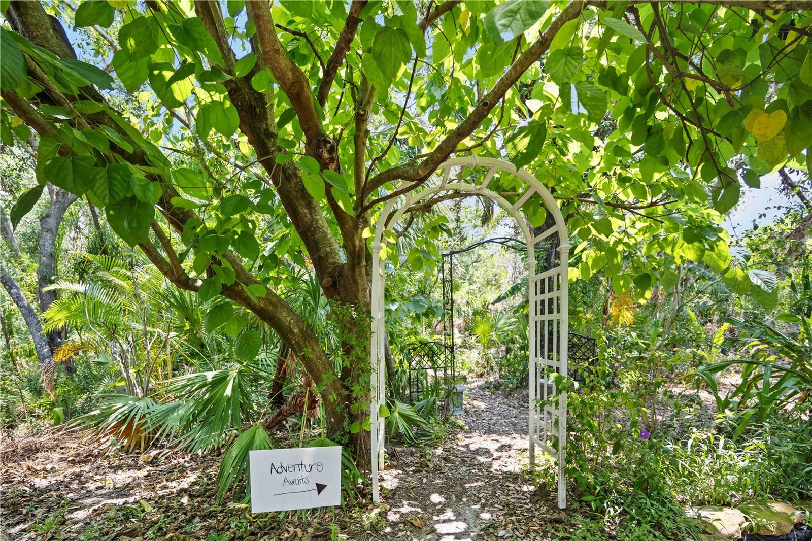 9915 OLD HYDE PARK PL