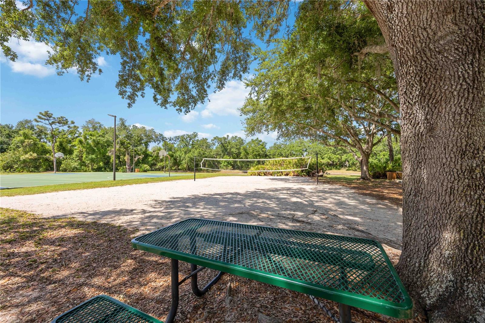 6446 BARBERRY CT