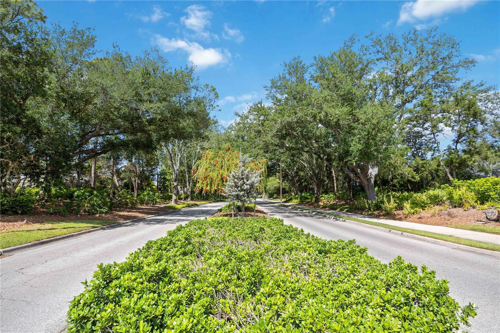 6446 BARBERRY CT