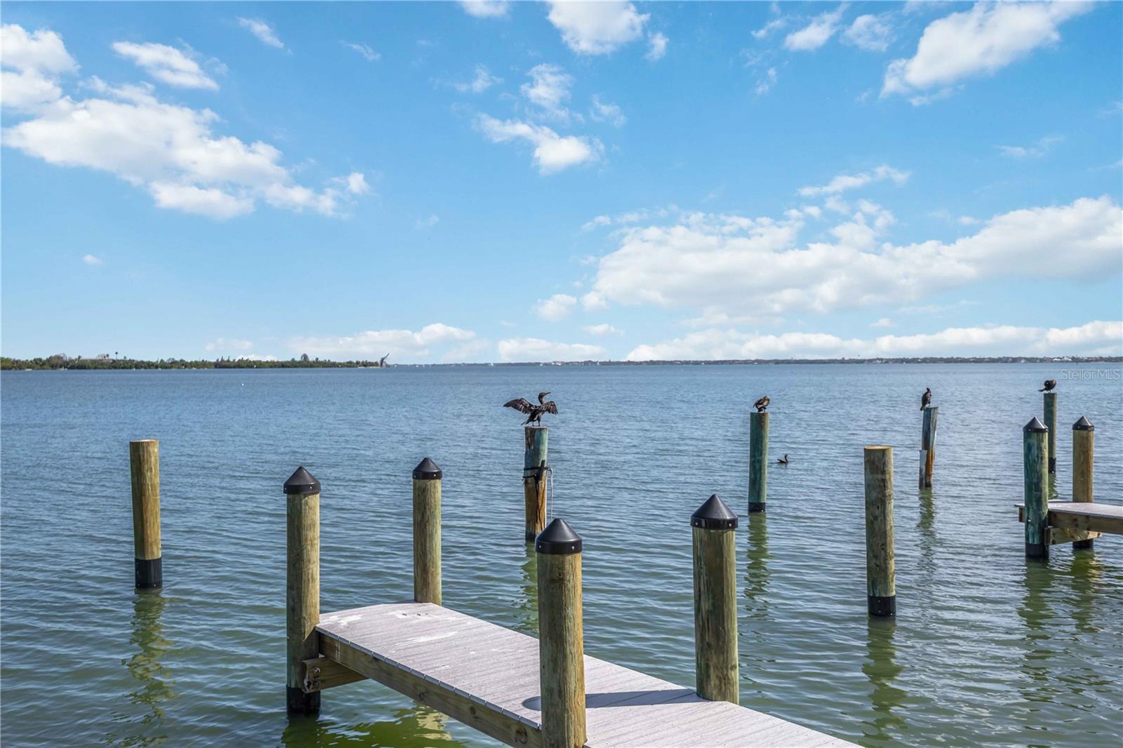 765 JOHN RINGLING BLVD #5