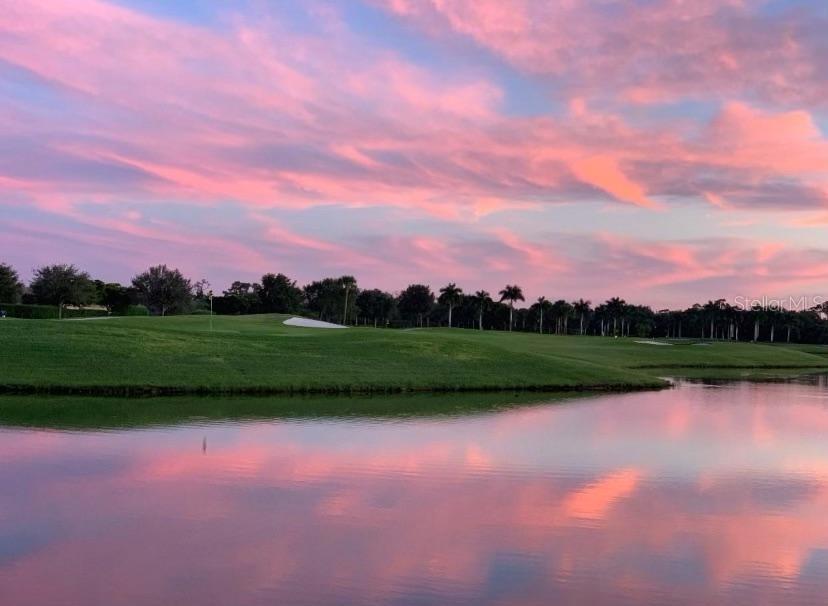 14689 CHERRY BLOSSOM WAY