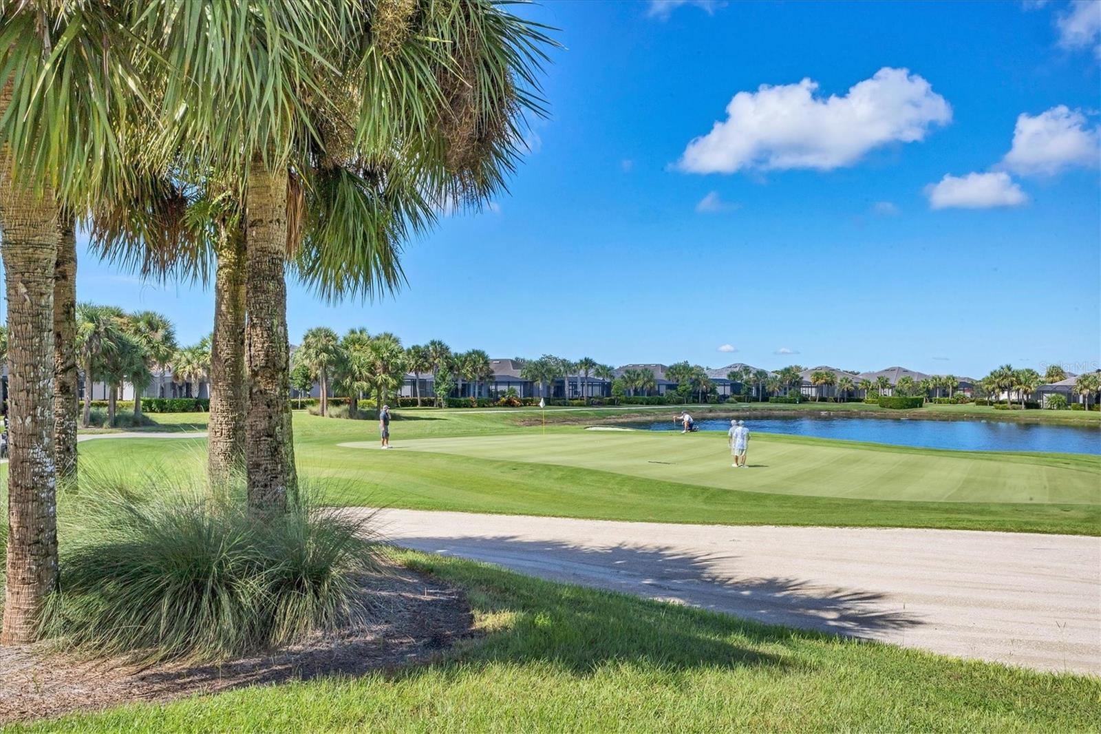 25246 KEYGRASS CT