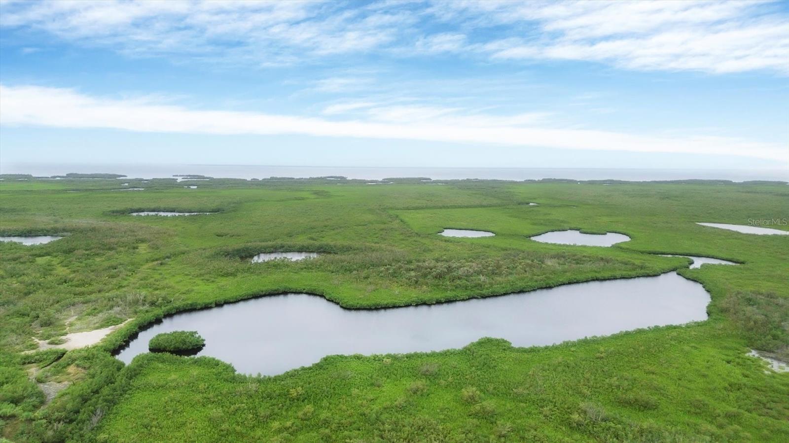 14051 HERITAGE LANDING BLVD #534