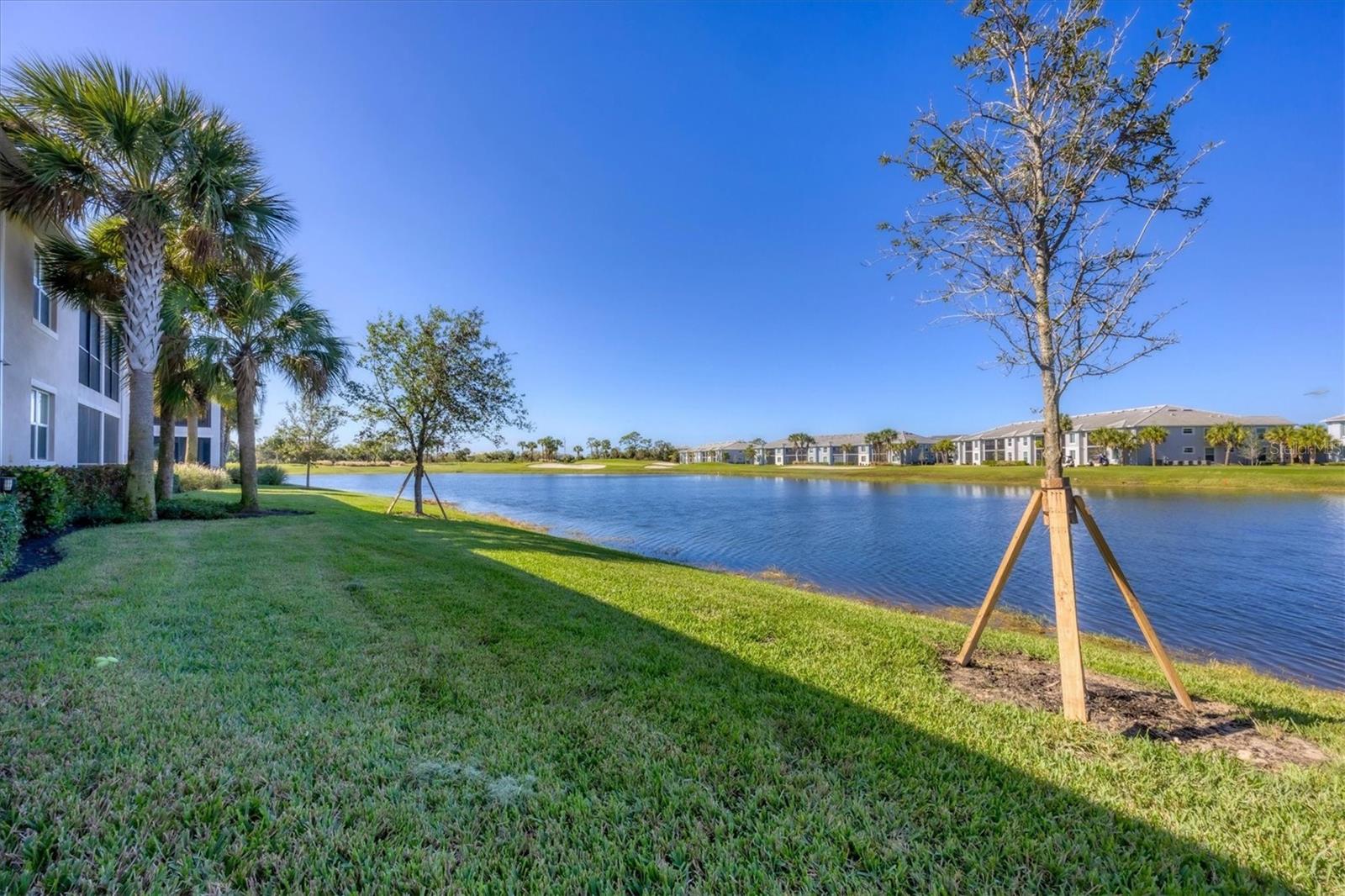 14025 BLACK BEAUTY DR #412