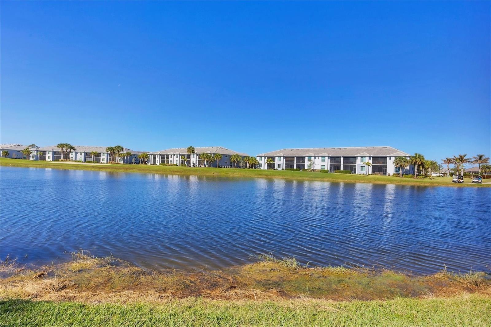 14025 BLACK BEAUTY DR #412