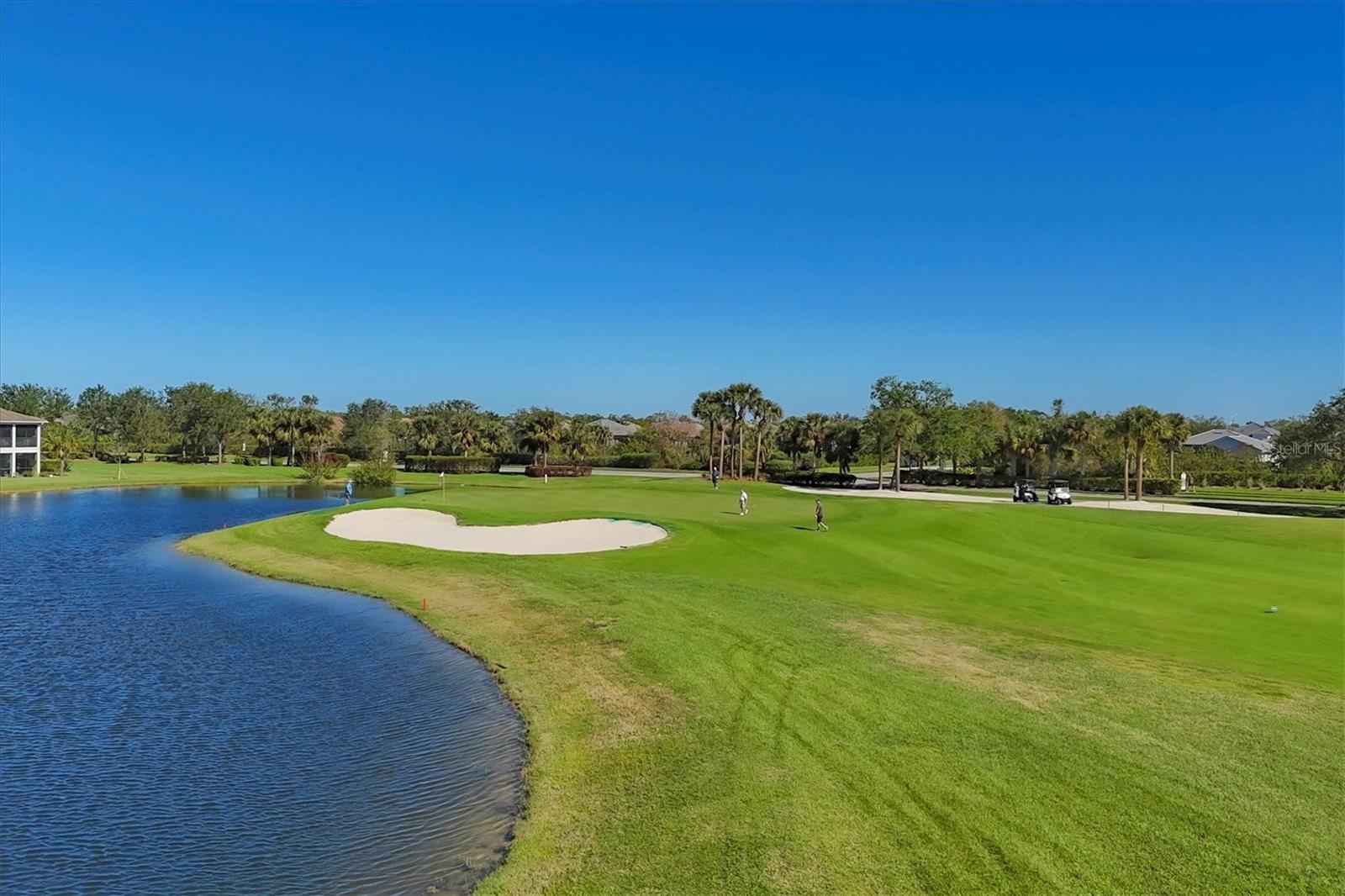 14025 BLACK BEAUTY DR #412