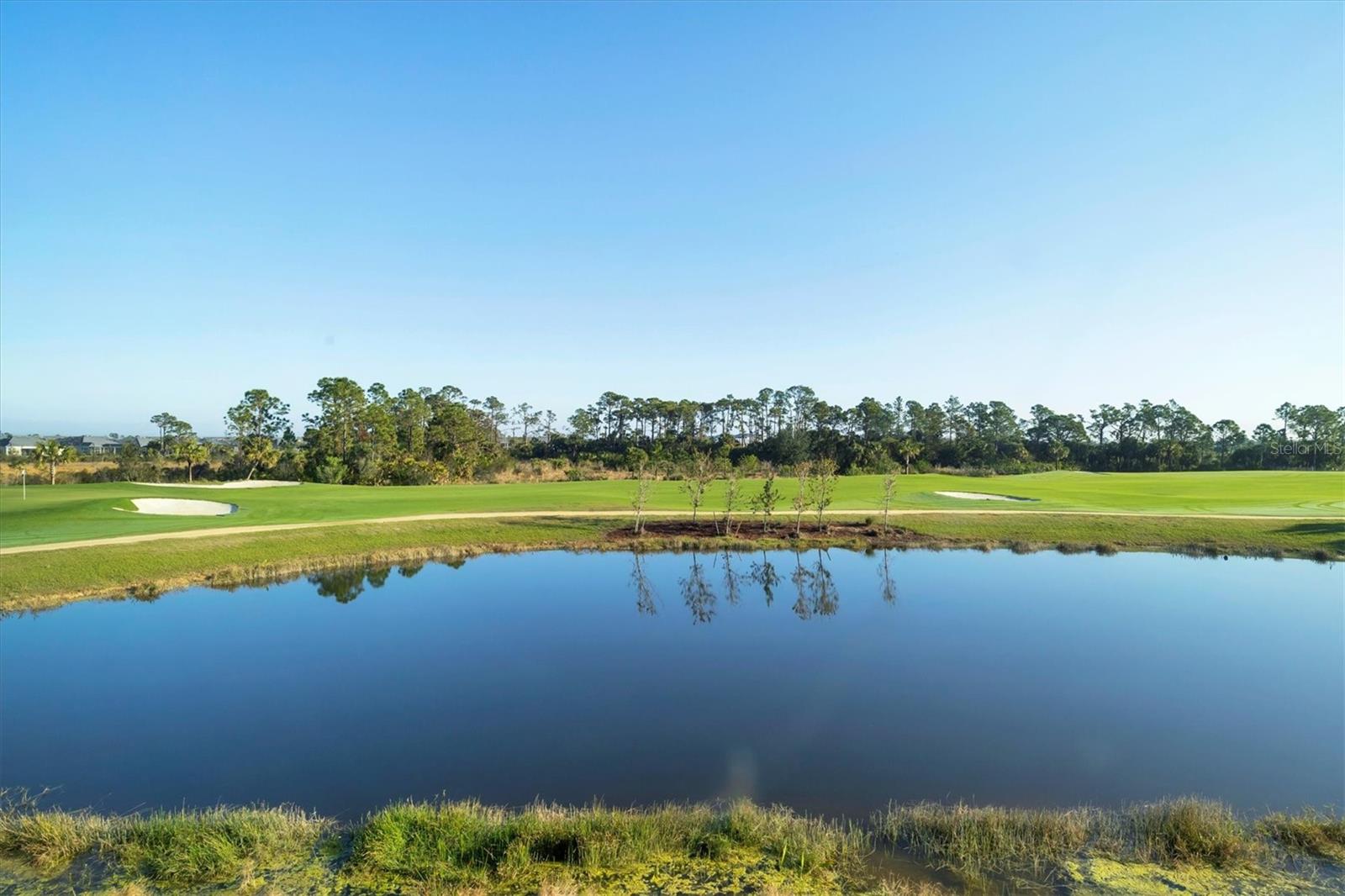 12470 WELLEN GOLF ST #203