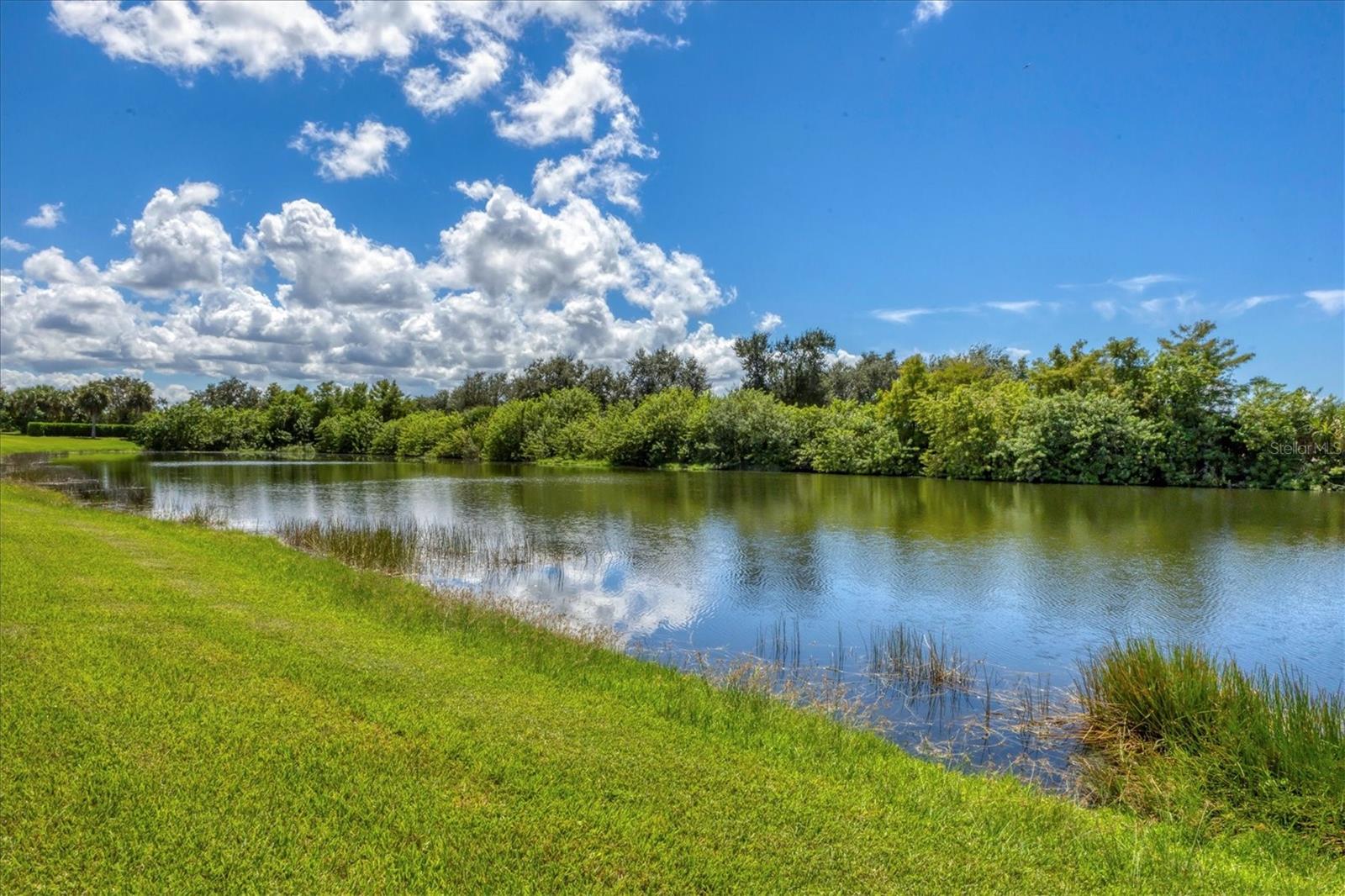 25121 GOLDEN FERN DR