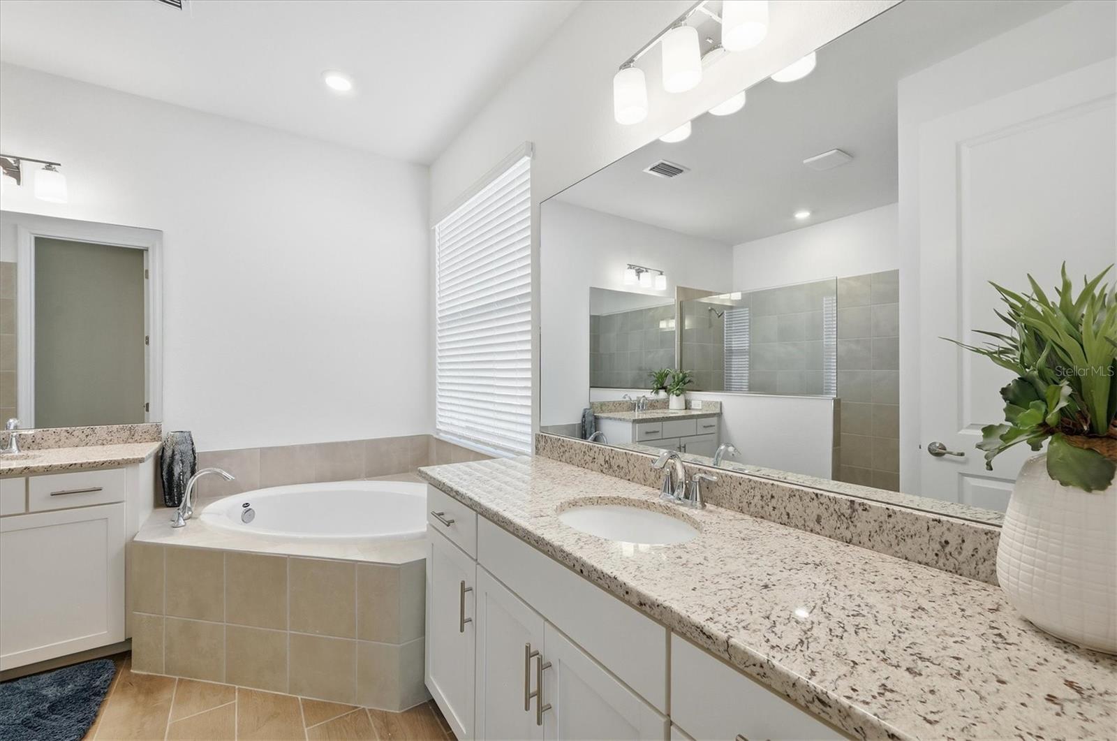 15249 RIVER BIRCH CT