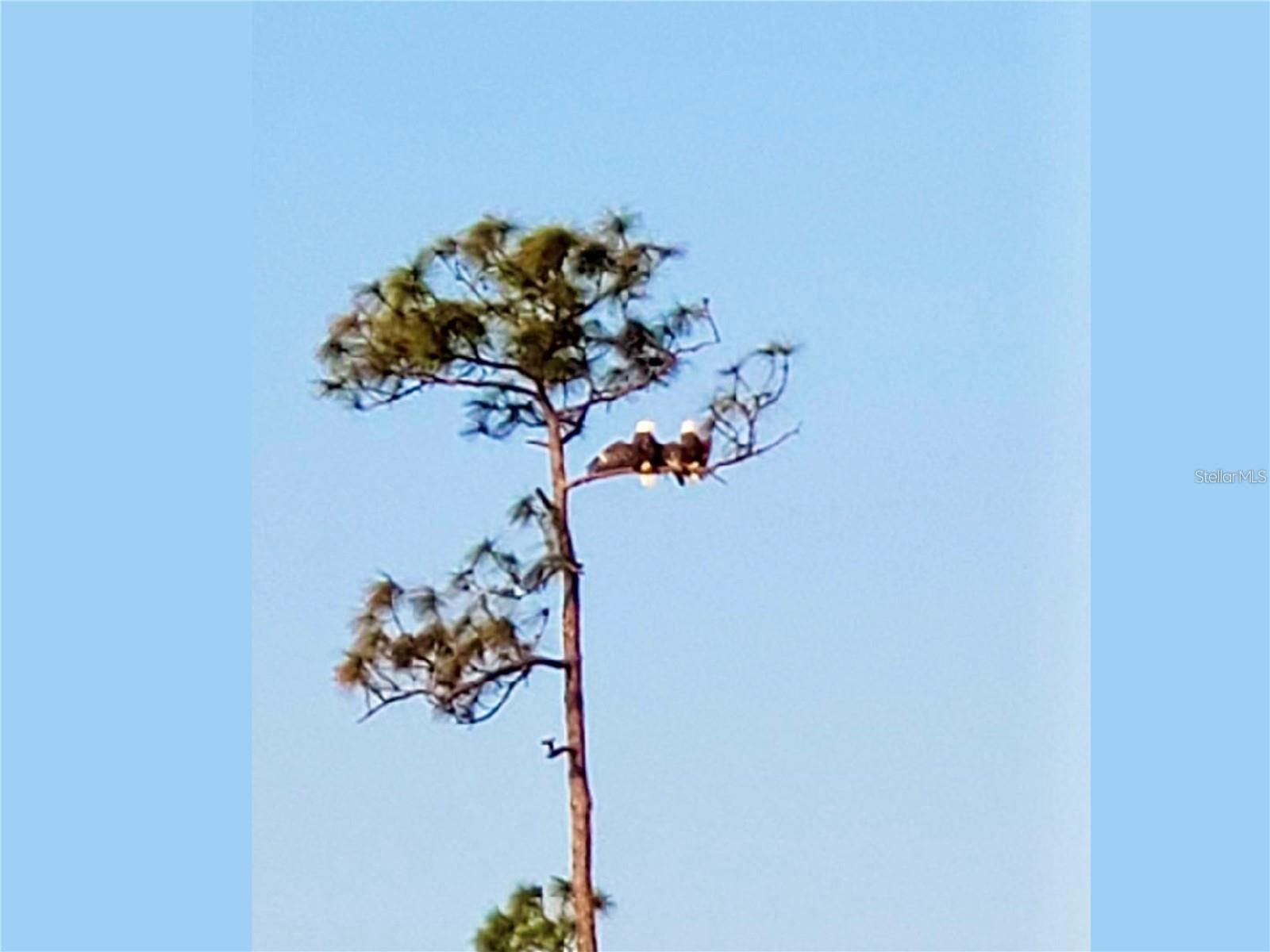 14073 BLACK BEAUTY DR #1012