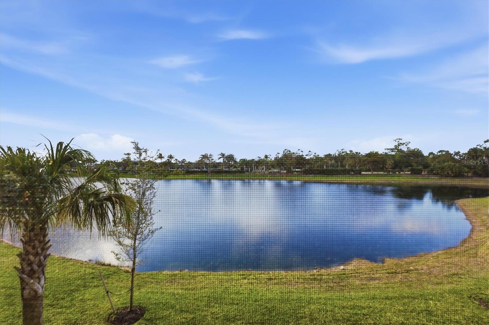 14655 SYCAMORE CT #3121