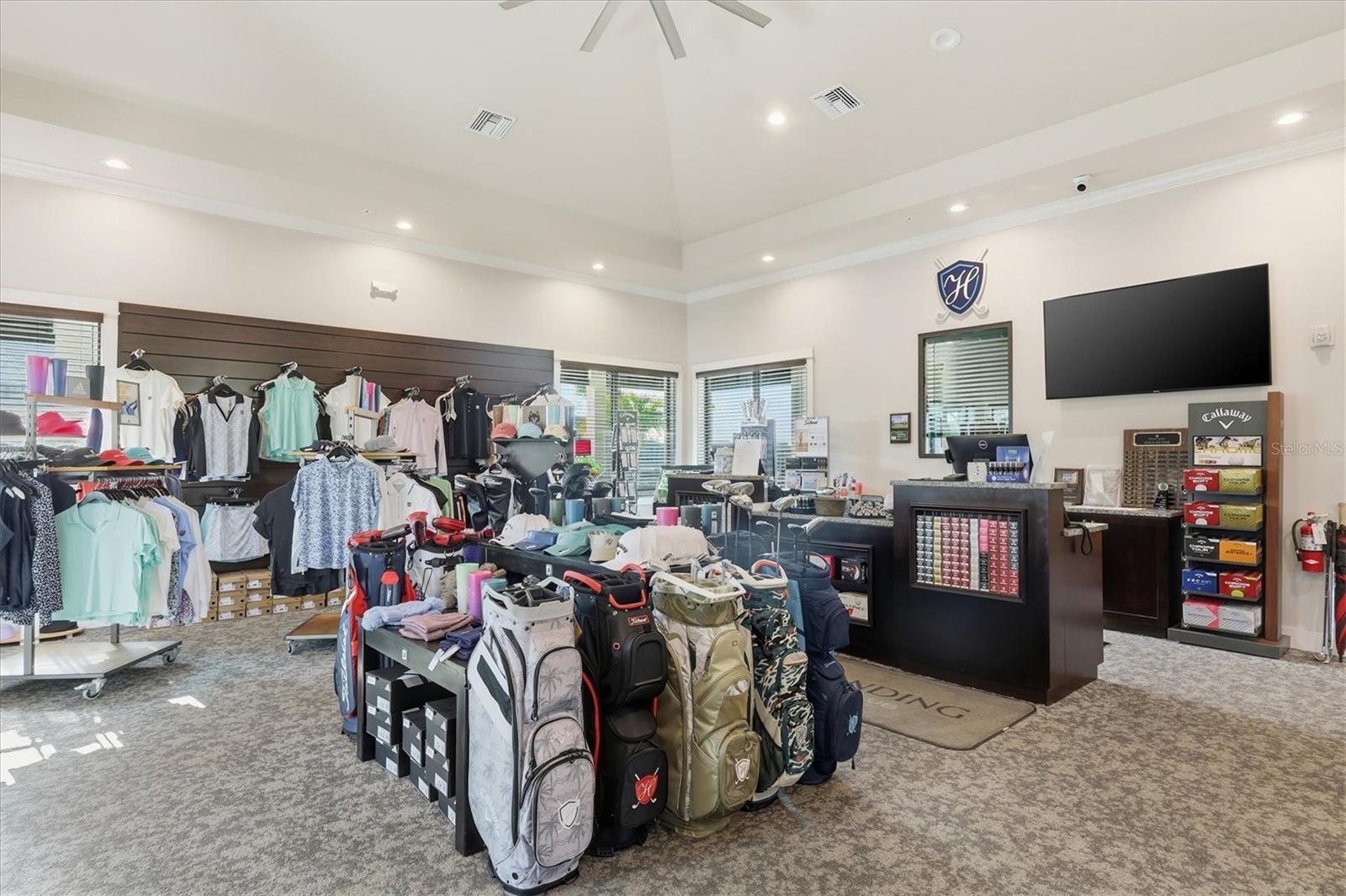 14049 BLACK BEAUTY DR #711