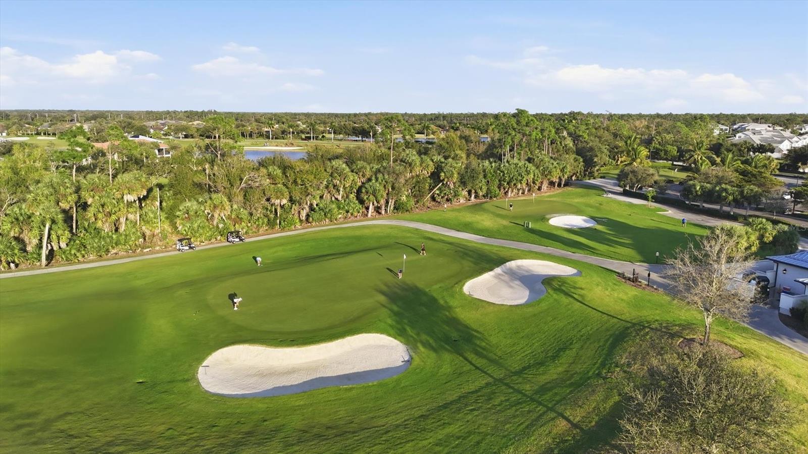 14049 BLACK BEAUTY DR #711