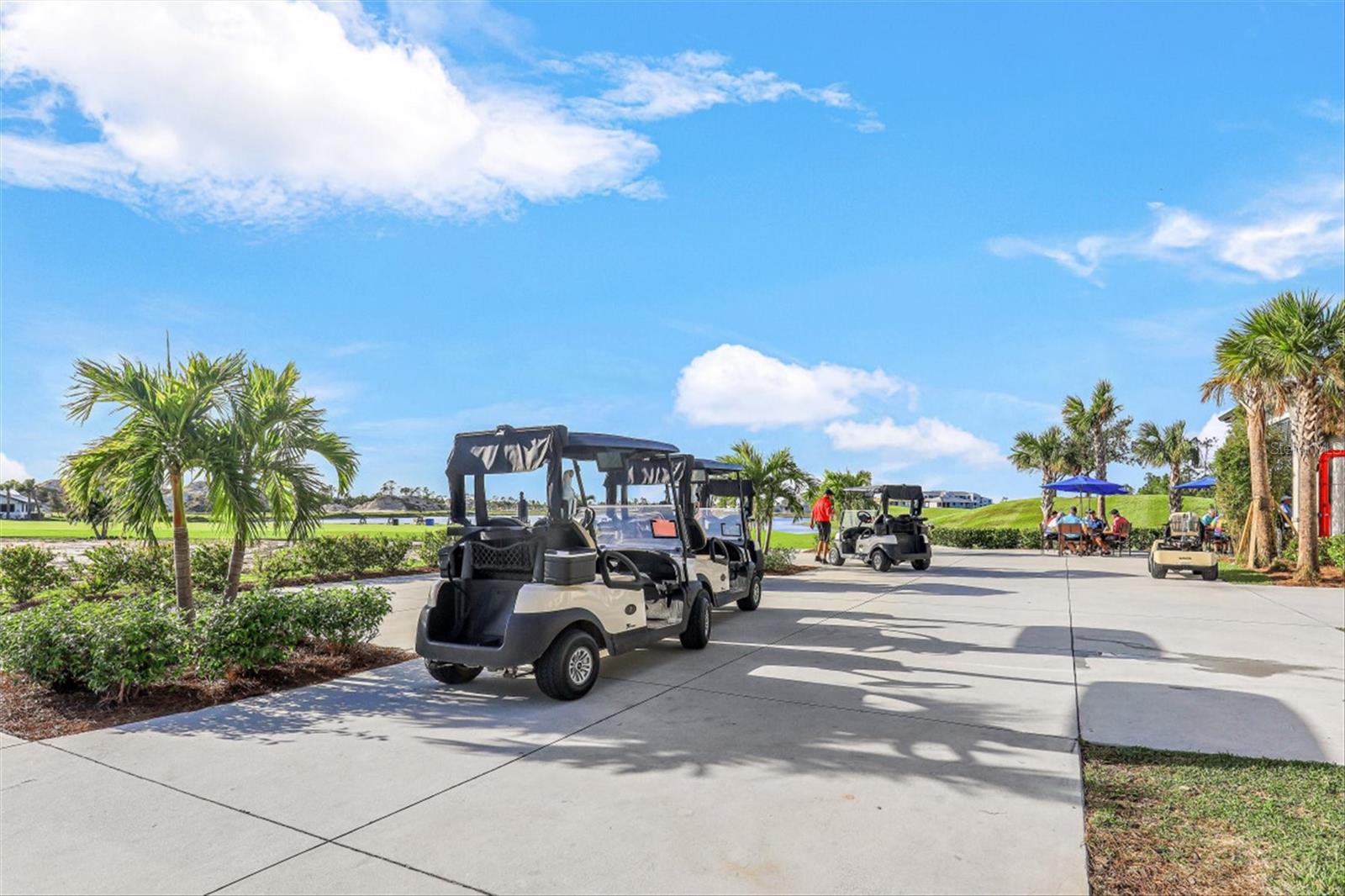 14161 HERITAGE LANDING BLVD #1123