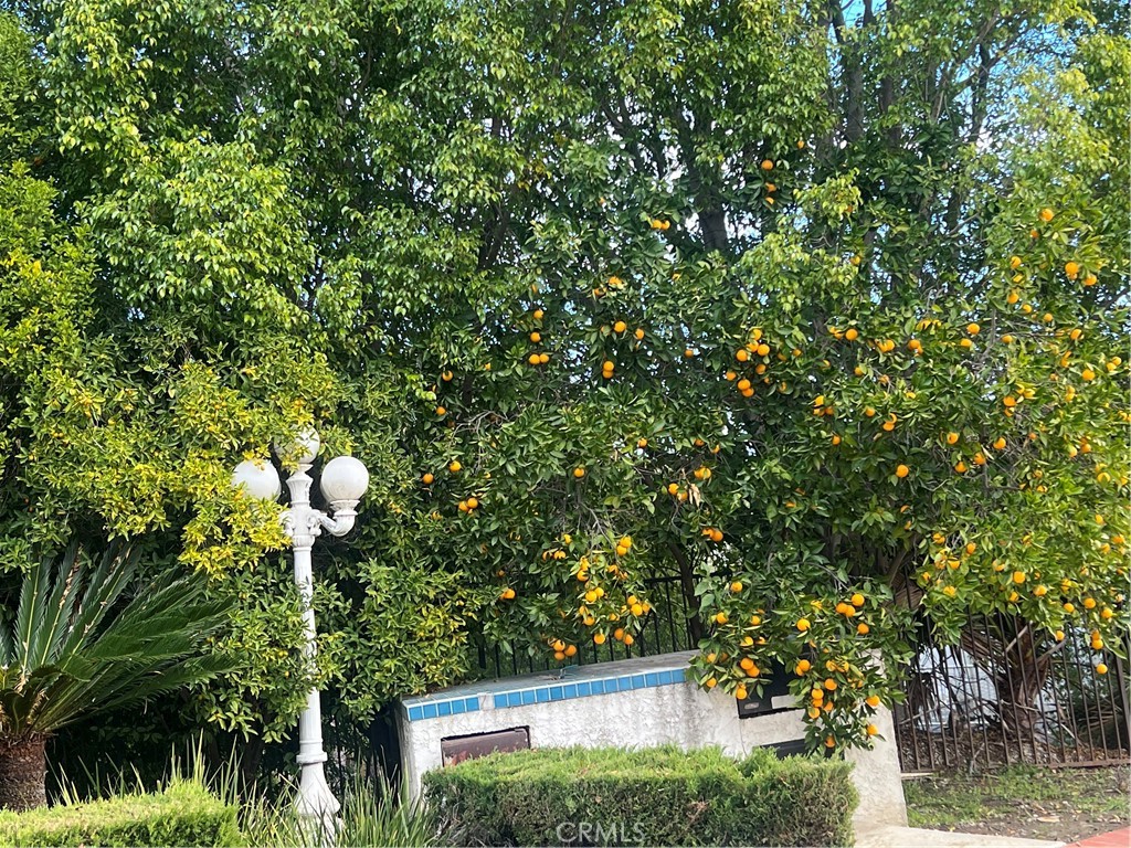 2108 Indian Creek Road