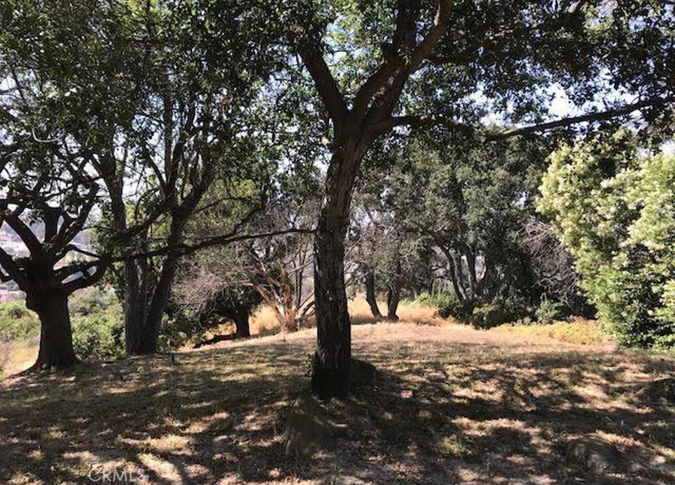 23411 Ridge Line Road