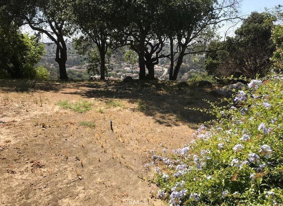 23411 Ridge Line Road