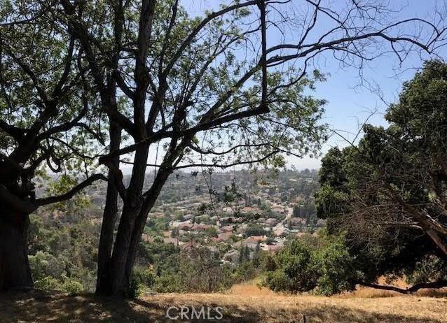 23411 Ridge Line Road