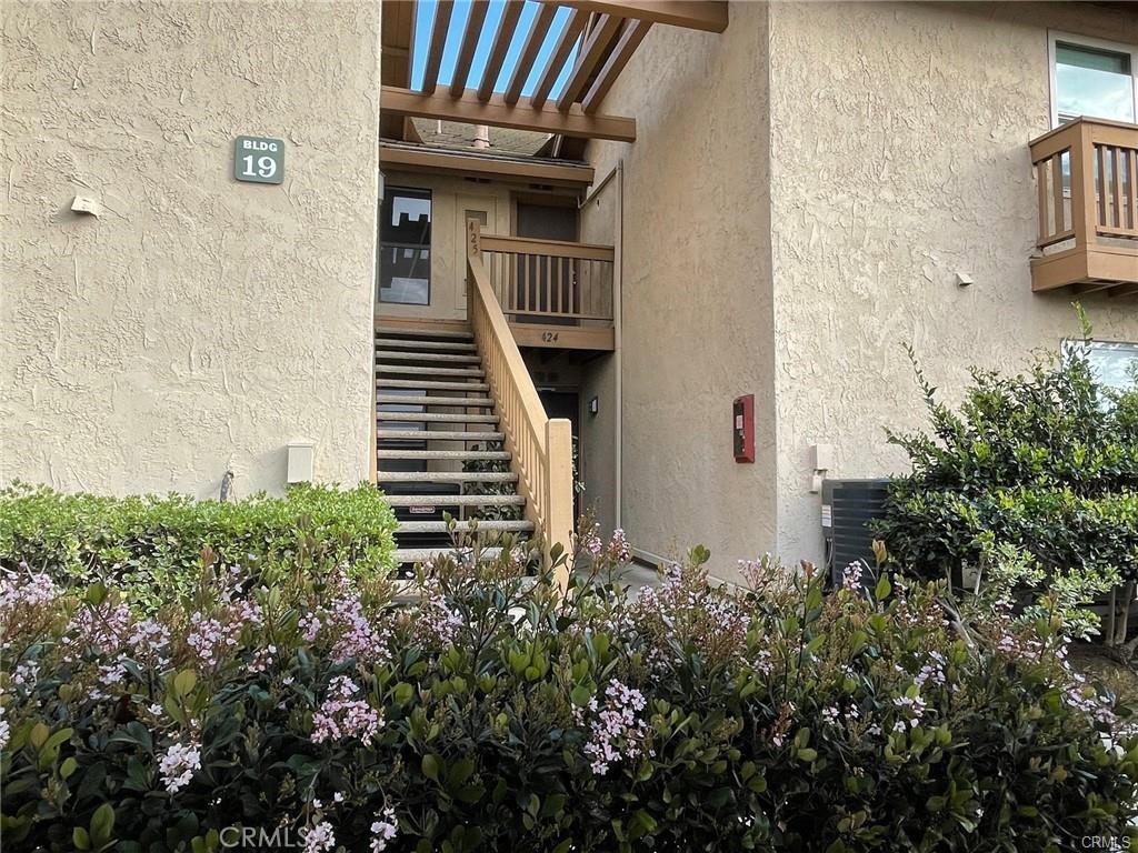 425 Orange Blossom 205