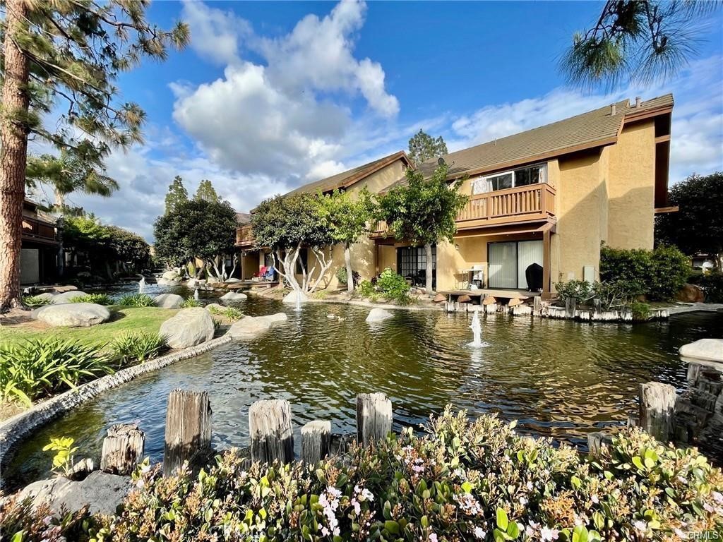 425 Orange Blossom 205