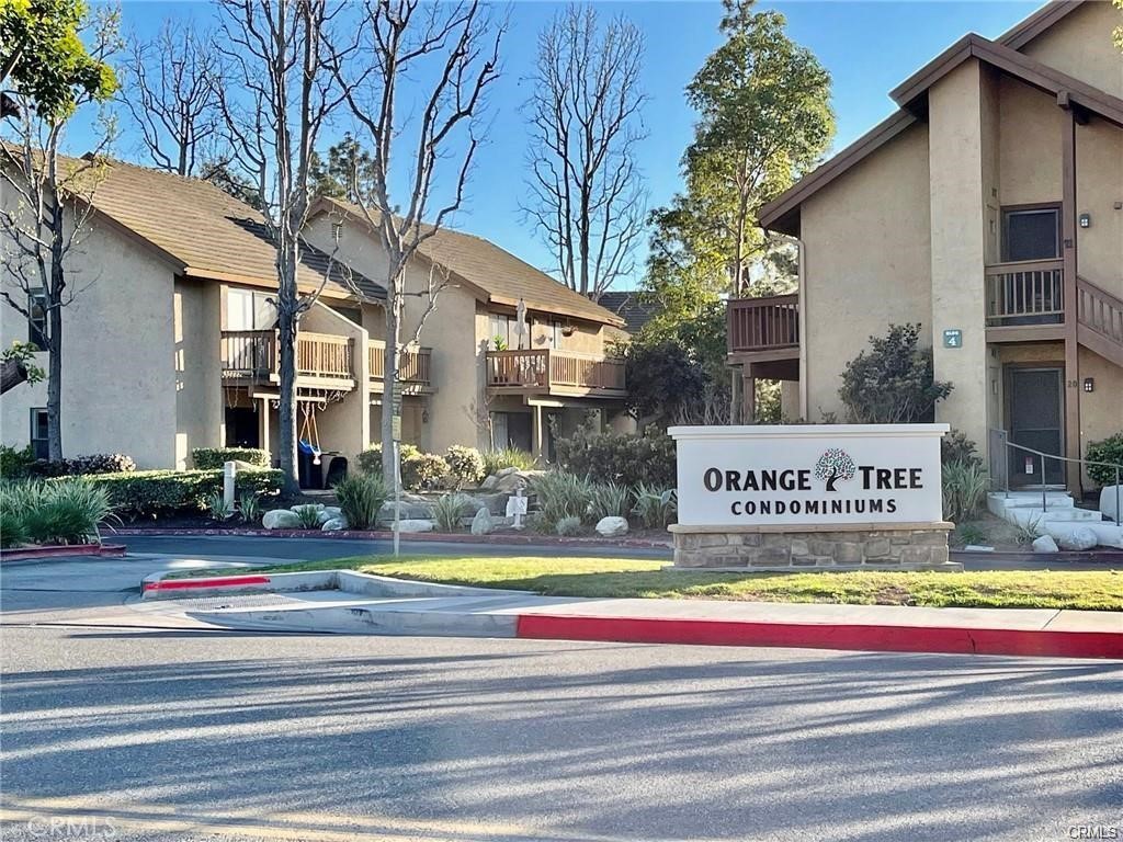 425 Orange Blossom 205