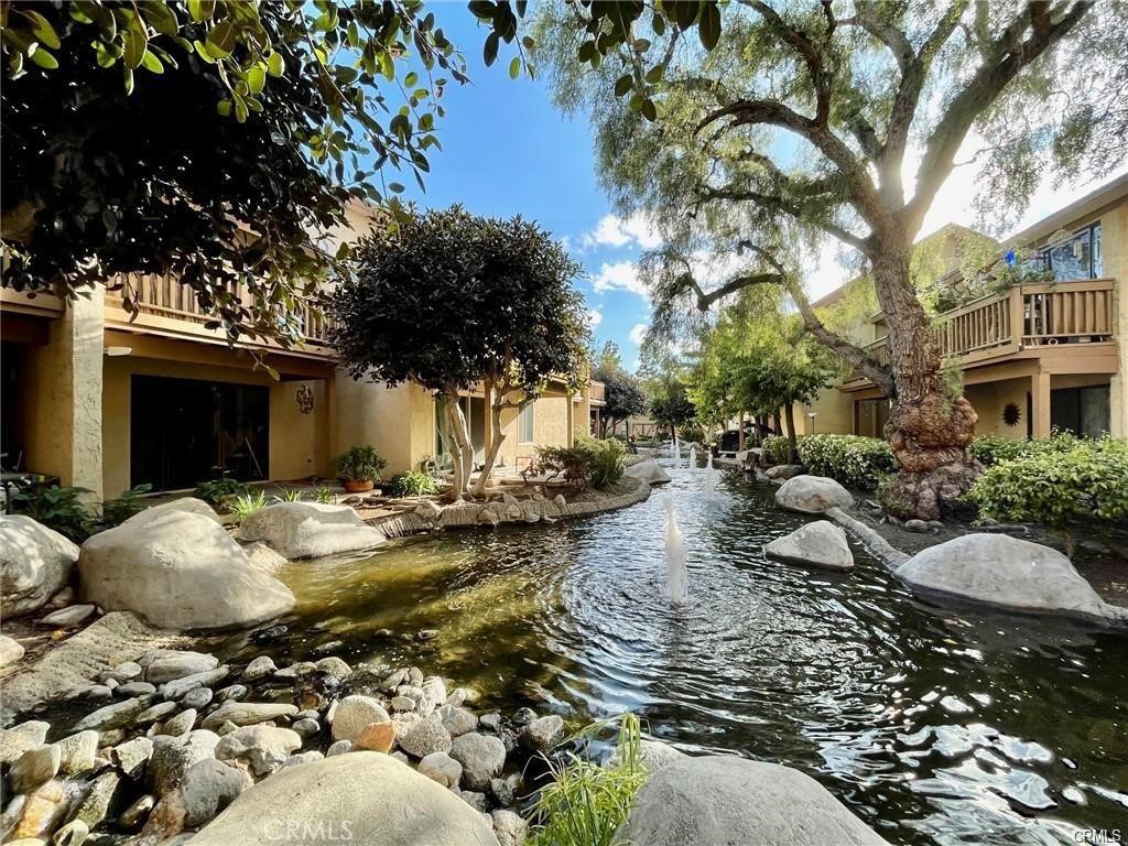 425 Orange Blossom 205