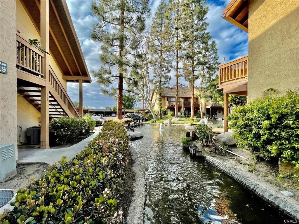 425 Orange Blossom 205