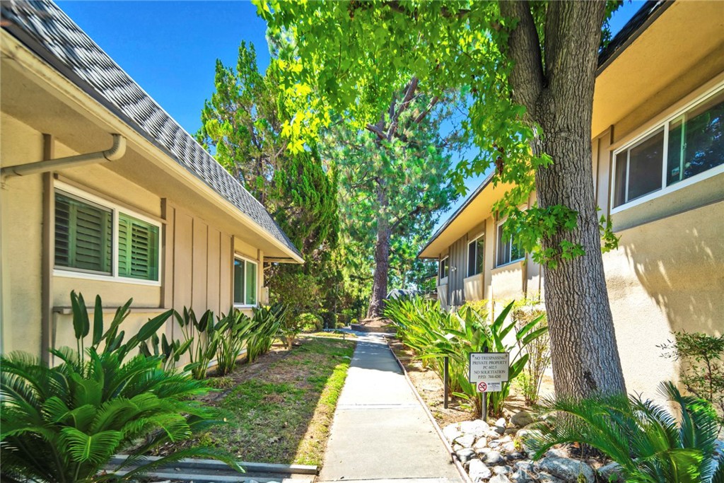 2438 E. Mountain St.