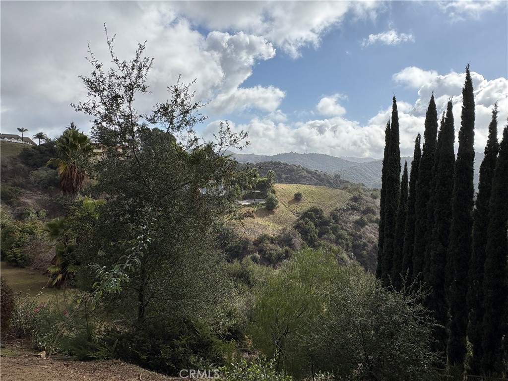 2658 Braided Mane Drive