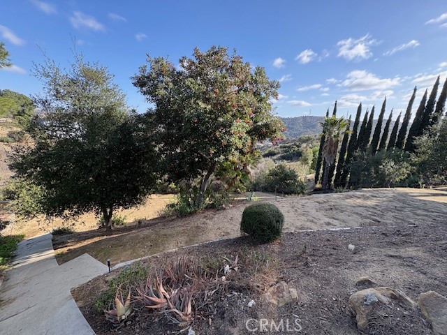 2658 Braided Mane Drive