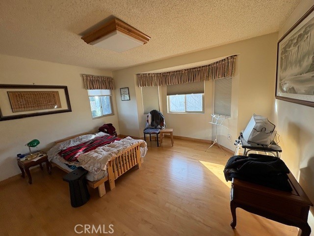 2658 Braided Mane Drive