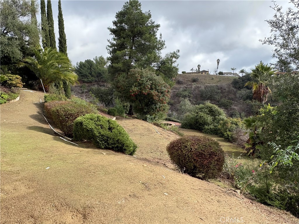 2658 Braided Mane Drive