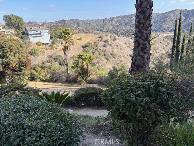 2658 Braided Mane Drive