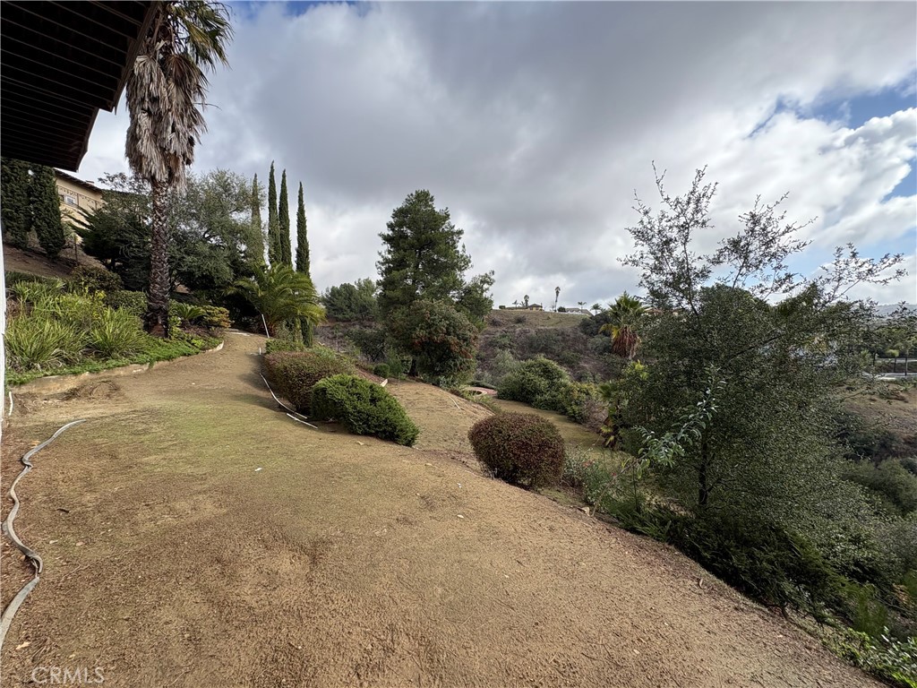 2658 Braided Mane Drive